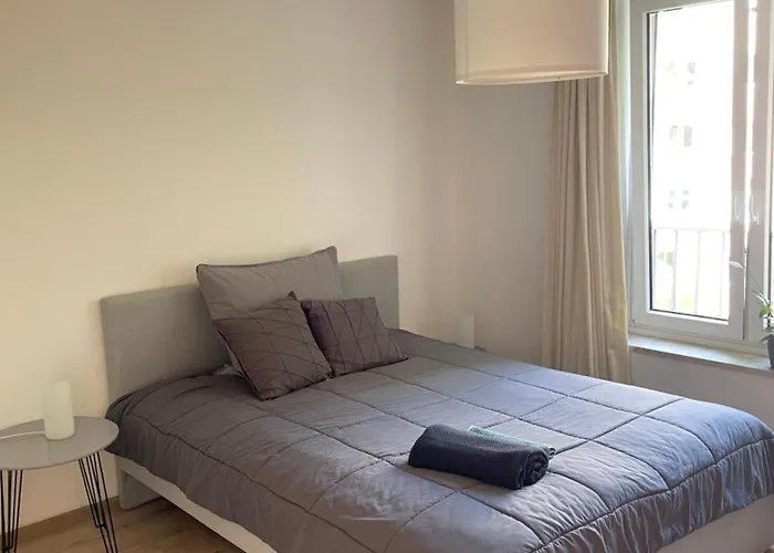 דירה Large Flat With Wifi And Parking מינכן