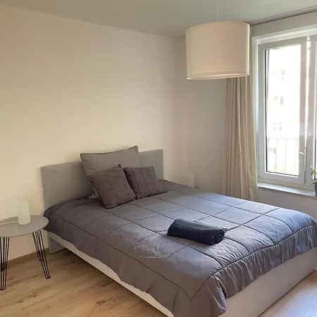 公寓 Large Flat With Wifi And Parking 慕尼黑